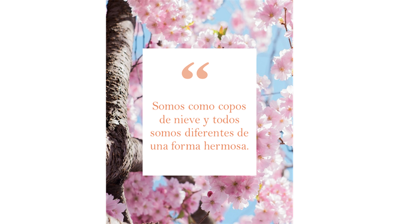 Noticias y citas en Instagram, formato vertical Noticias y citas en Instagram, formato vertical