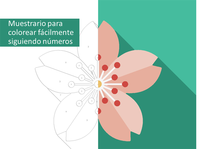 Muestrario para colorear fácilmente siguiendo números Muestrario para colorear fácilmente siguiendo números