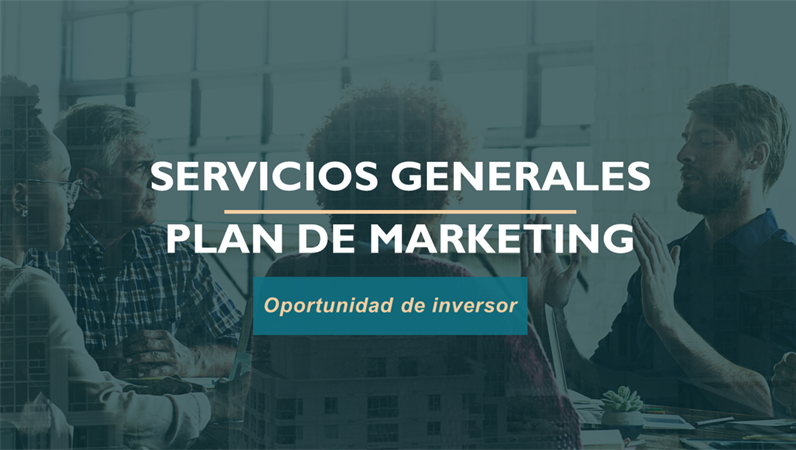 Plan de marketing de servicios profesionales Plan de marketing de servicios profesionales