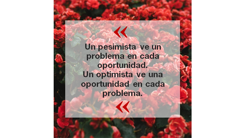Noticias y citas en Instagram, formato cuadrado Noticias y citas en Instagram, formato cuadrado