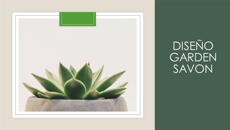 Diseño Garden Savon Diseño Garden Savon