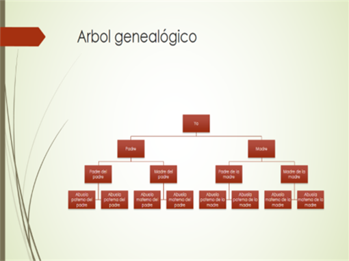 Gráfico de árbol genealógico (vertical, verde, rojo, panorámico) Gráfico de árbol genealógico (vertical, verde, rojo, panorámico)