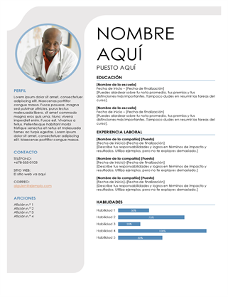 Currículum gris y azul Currículum gris y azul