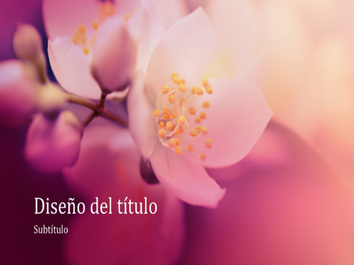 Presentación de naturaleza con flores de cerezo (pantalla panorámica) Presentación de naturaleza con flores de cerezo (pantalla panorámica)