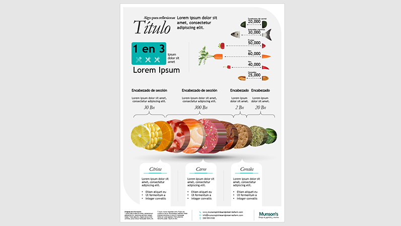 Póster infográfico de alimentos Póster infográfico de alimentos