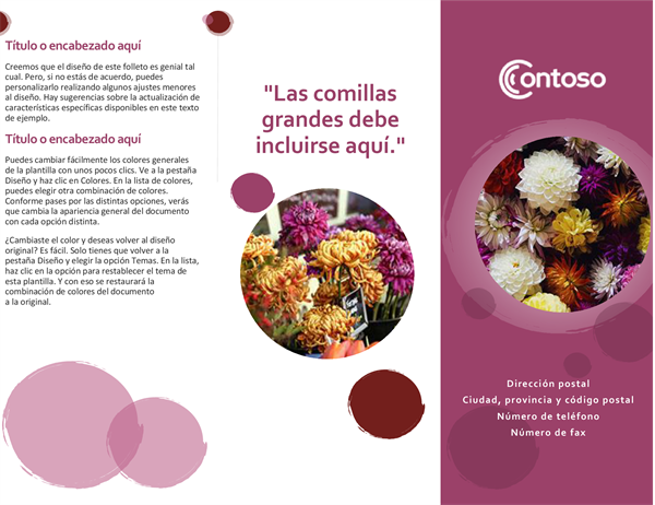 Folleto de conjunto rosa Folleto de conjunto rosa