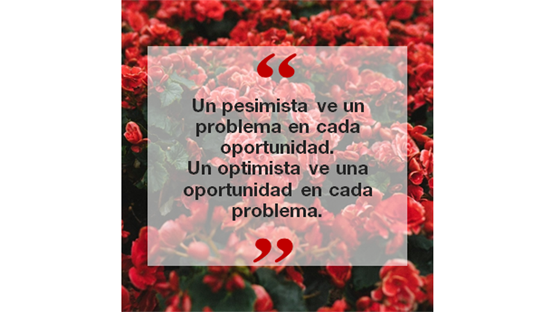 Noticias y citas en Instagram, formato cuadrado Noticias y citas en Instagram, formato cuadrado