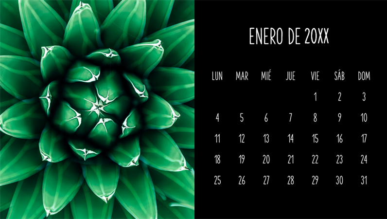 Calendario mensual de suculentas Calendario mensual de suculentas