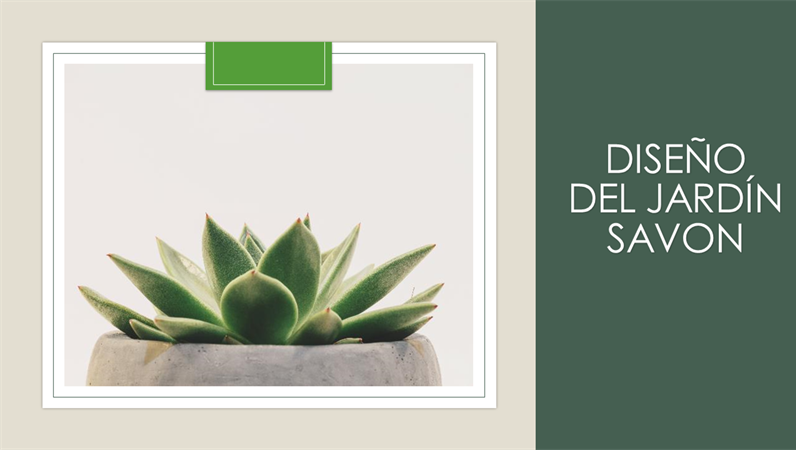 Diseño de Savon de jardín Diseño de Savon de jardín
