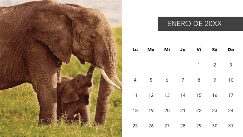 Calendario fotográfico de animales adorables Calendario fotográfico de animales adorables