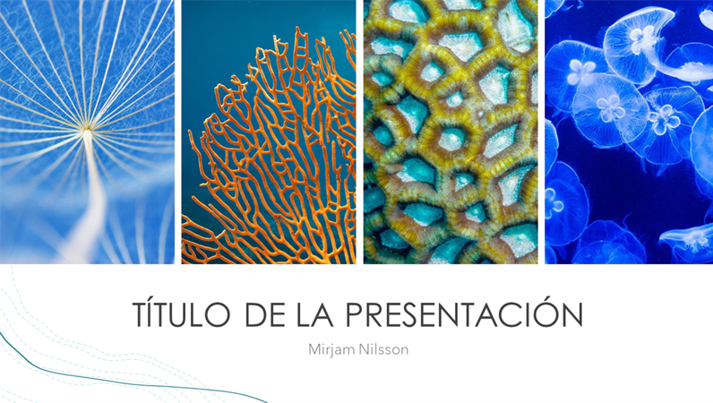Presentación de océano Presentación de océano
