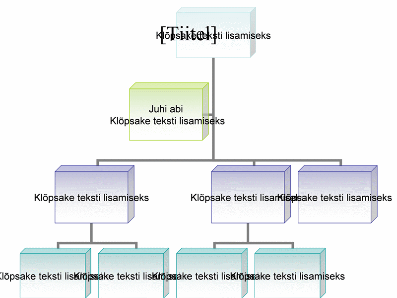 Organisatsiooniskeem Organisatsiooniskeem