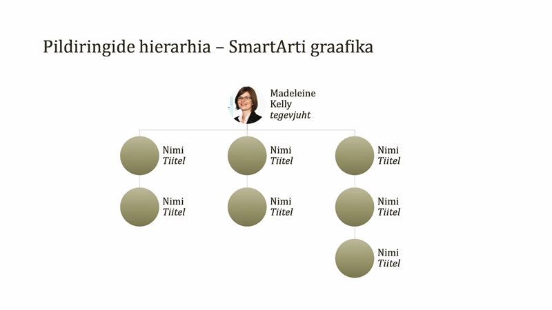 Ringikujuliste piltidega organisatsioonidiagramm (laiekraan) Ringikujuliste piltidega organisatsioonidiagramm (laiekraan)