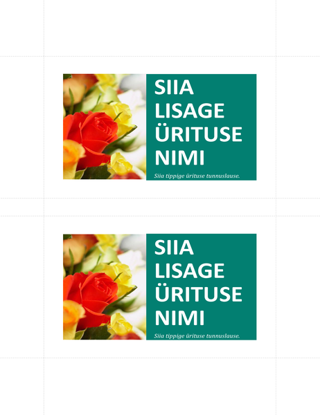 Reklaamkaardid (2 tk lehel) Reklaamkaardid (2 tk lehel)