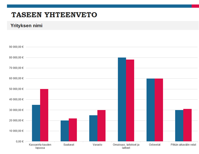 Budjetin yhteenvetoraportti Budjetin yhteenvetoraportti