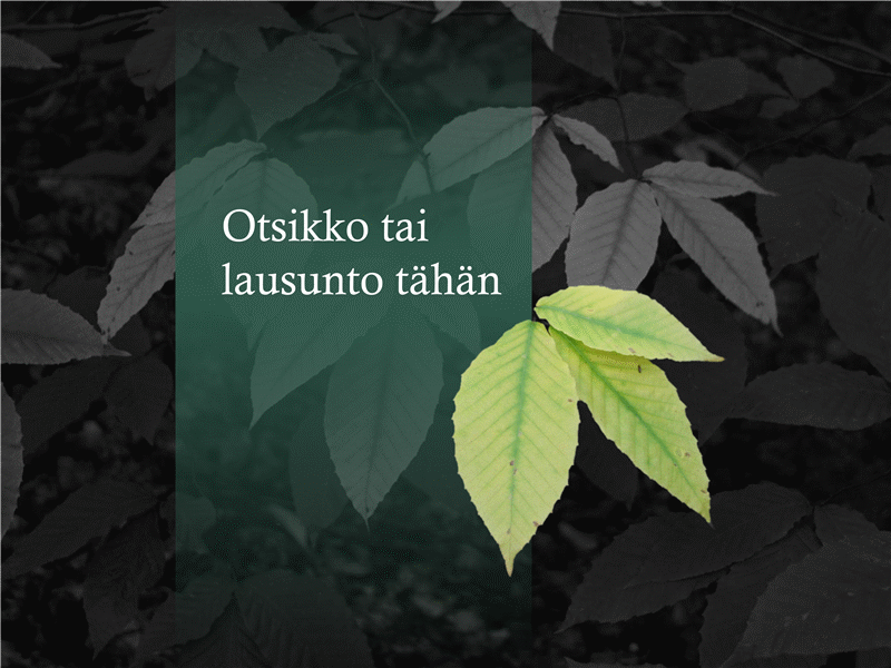 Kuva, jonka tausta on poistettu Kuva, jonka tausta on poistettu