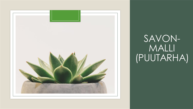 Diseño Garden Savon Diseño Garden Savon