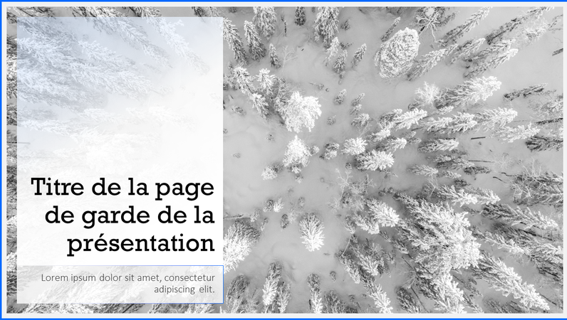 Snowscape presentation Snowscape presentation