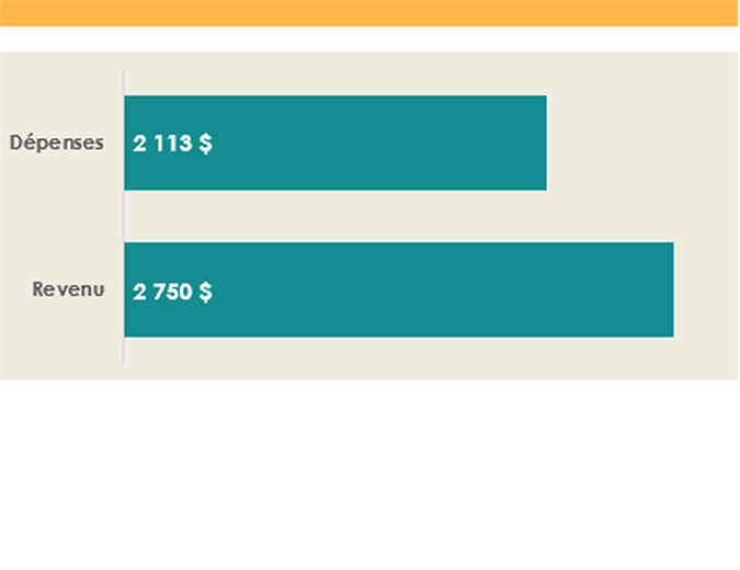 College income and expenses budget College income and expenses budget