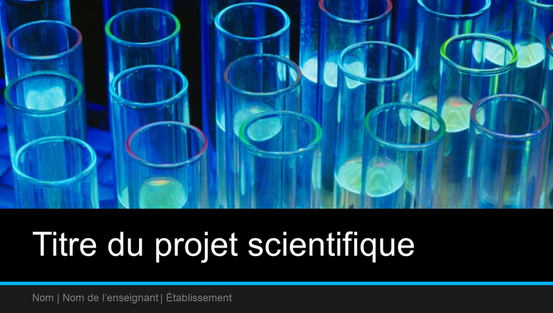 Présentation du projet scientifique (grand écran) Présentation du projet scientifique (grand écran)