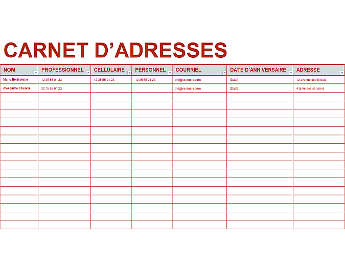 carnet-d-adresses-personnel-office-templates