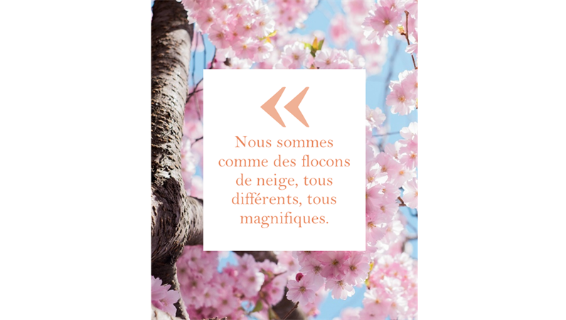 Citations et nouvelles sur Instagram en format vertical Citations et nouvelles sur Instagram en format vertical
