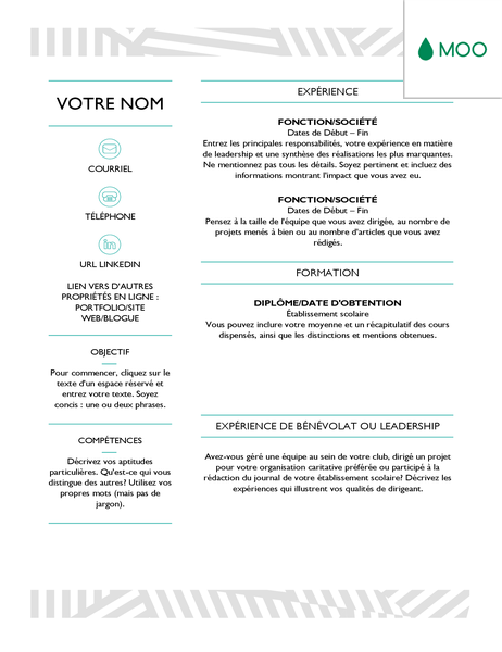 C.V. créatif, conçu par MOO C.V. créatif, conçu par MOO