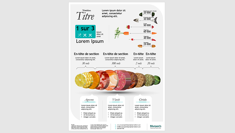 Affiche d’infographie nutritionnelle Affiche d’infographie nutritionnelle