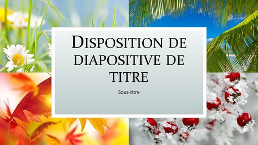 Présentation « Quatre saisons » (grand écran)