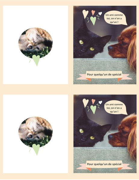 Carte ordinaire Chatons et chiots Carte ordinaire Chatons et chiots