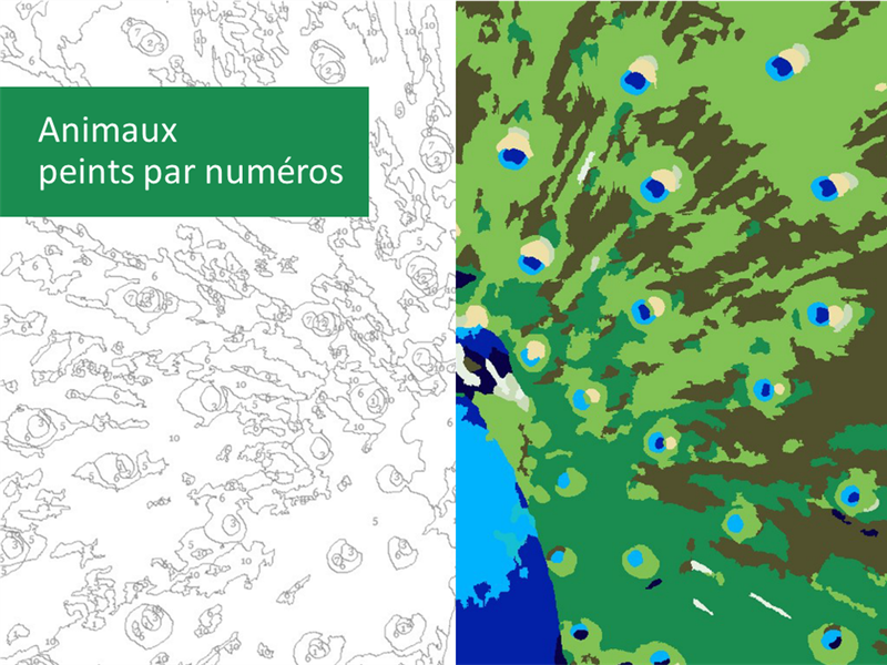 Animaux peints par numéros Animaux peints par numéros