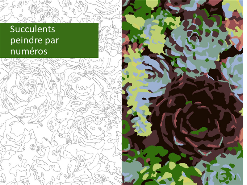 Les succulents peints par numéro Les succulents peints par numéro