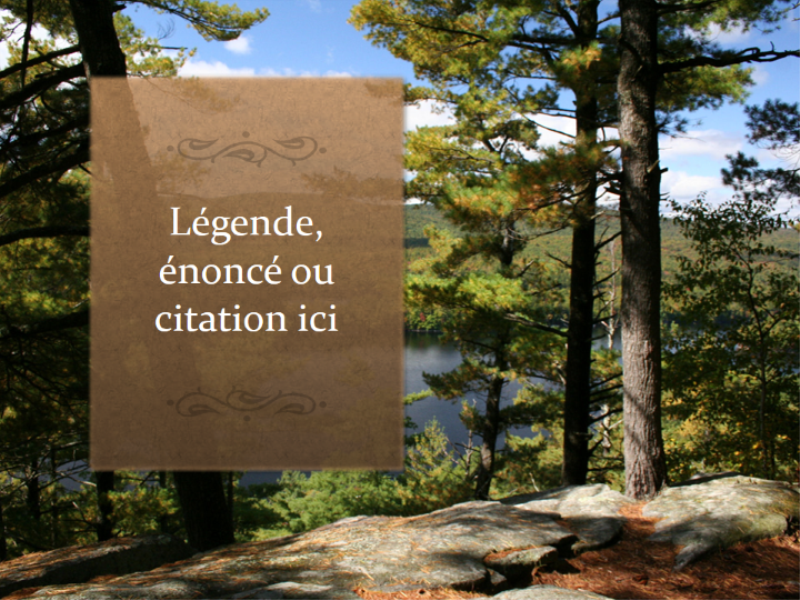 Légende texturée avec image en arrière-plan Légende texturée avec image en arrière-plan