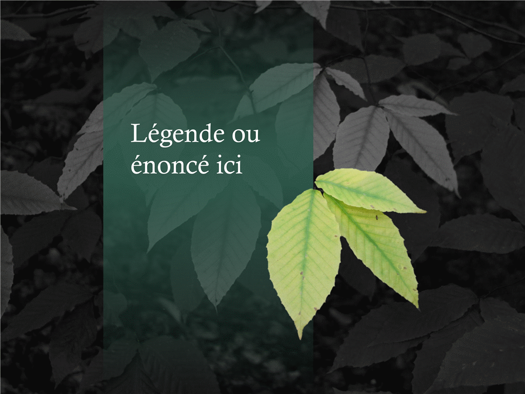 Image avec arrière-plan supprimé Image avec arrière-plan supprimé