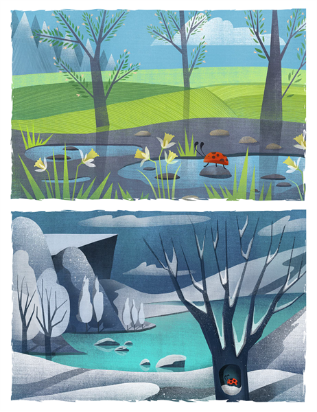 Cartes de vœux avec coccinelle (à deux plis) Cartes de vœux avec coccinelle (à deux plis)