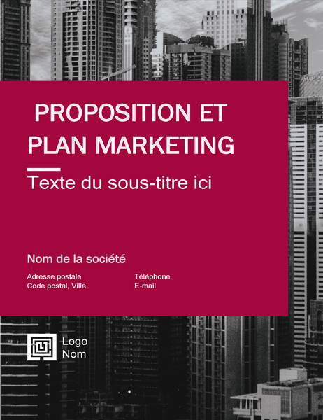 Rapport d’entreprise (conception professionnelle)