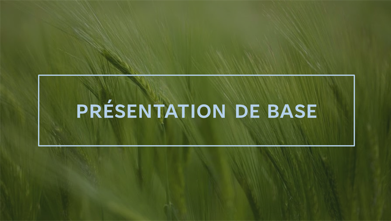 Présentation rapide verte Présentation rapide verte