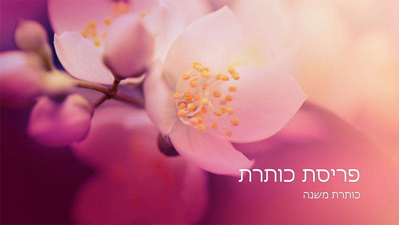מצגת טבע בעיצוב פריחת הדובדבן (מסך רחב) מצגת טבע בעיצוב פריחת הדובדבן (מסך רחב)