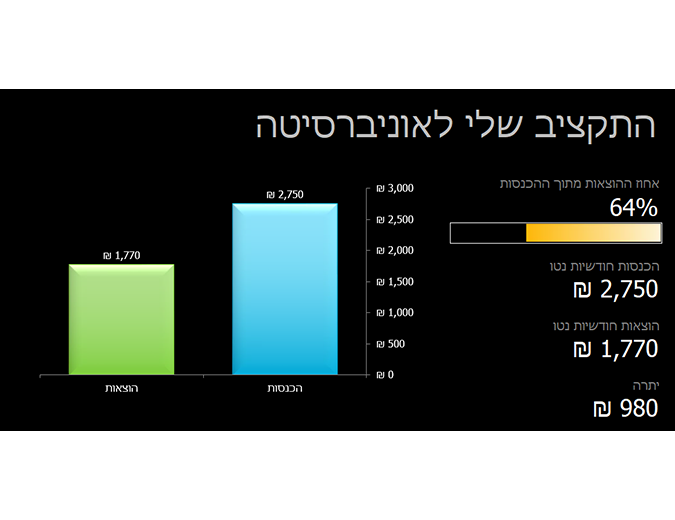 התקציב שלי לאוניברסיטה