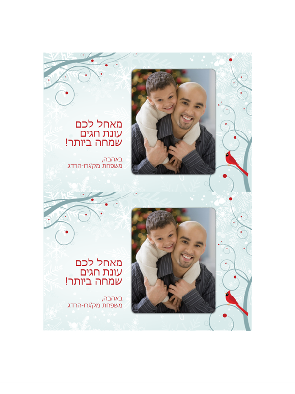 כרטיסי תמונה לחגים של פתית שלג (2 בכל עמוד) כרטיסי תמונה לחגים של פתית שלג (2 בכל עמוד)