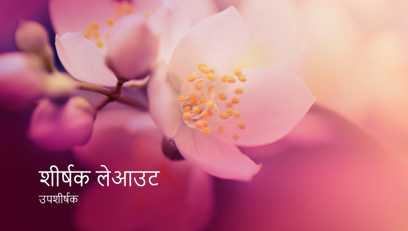 चेरी ब्लॉसम प्रस्तुति (वाइडस्क्रीन) चेरी ब्लॉसम प्रस्तुति (वाइडस्क्रीन)