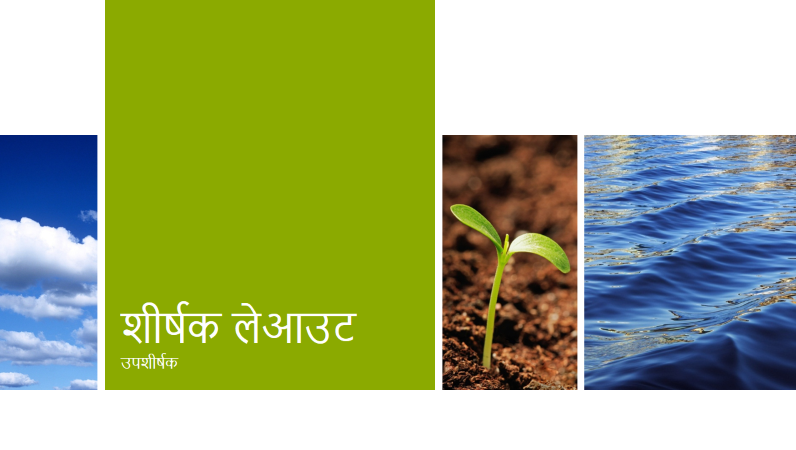पारिस्थितिकी फ़ोटो पैनल पारिस्थितिकी फ़ोटो पैनल