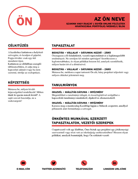 Professzionális önéletrajz, a MOO terve alapján Professzionális önéletrajz, a MOO terve alapján