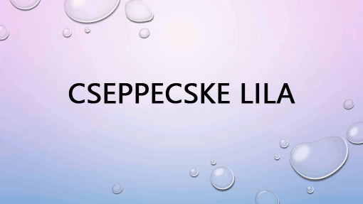 Cseppecske lila