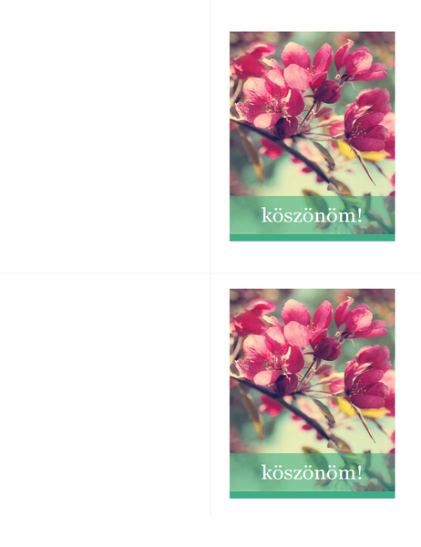 Köszönőkártyák Köszönőkártyák