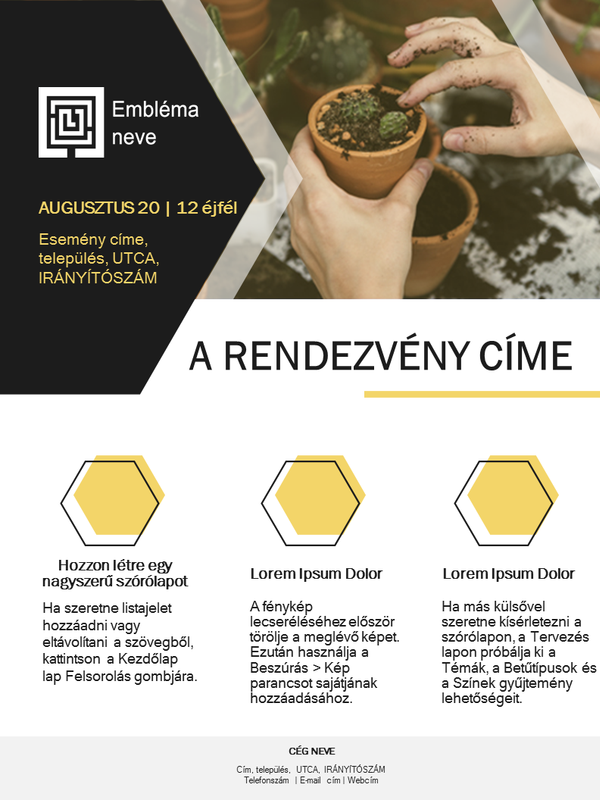 Kisvállalati szórólap (arany arculat) Kisvállalati szórólap (arany arculat)