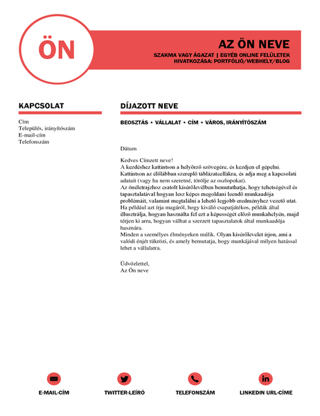 Professzionális kísérőlevél, a MOO terve alapján Professzionális kísérőlevél, a MOO terve alapján