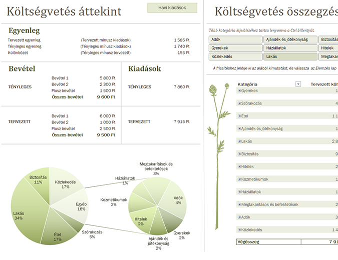 Családi költségvetés (havi) Családi költségvetés (havi)