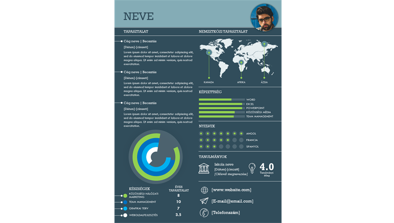 Nemzetközi infografikus önéletrajz Nemzetközi infografikus önéletrajz