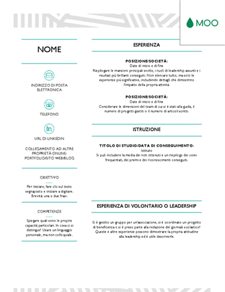 SCARICA MODELLO CURRICULUM CRONOLOGICO DA